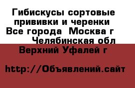 Гибискусы сортовые, прививки и черенки - Все города, Москва г.  »    . Челябинская обл.,Верхний Уфалей г.